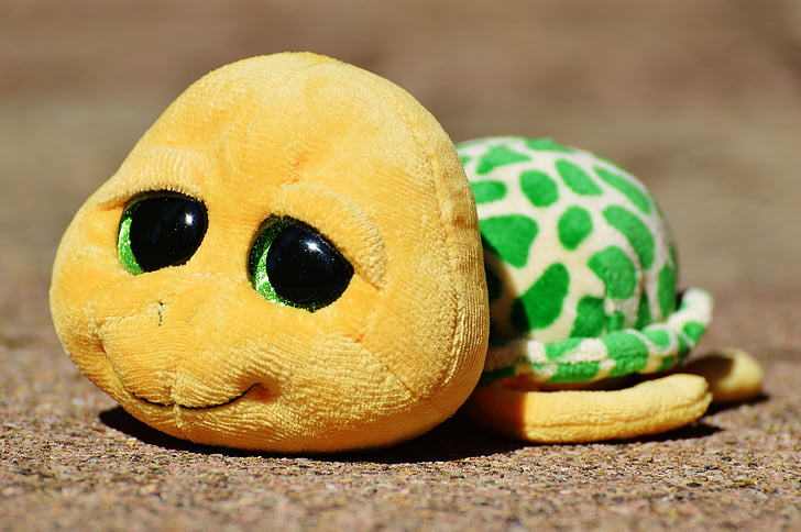 con rùa, thú nhồi bông, đồ chơi mềm, đồ chơi, Dễ thương, đôi mắt Long lanh, Buồn cười