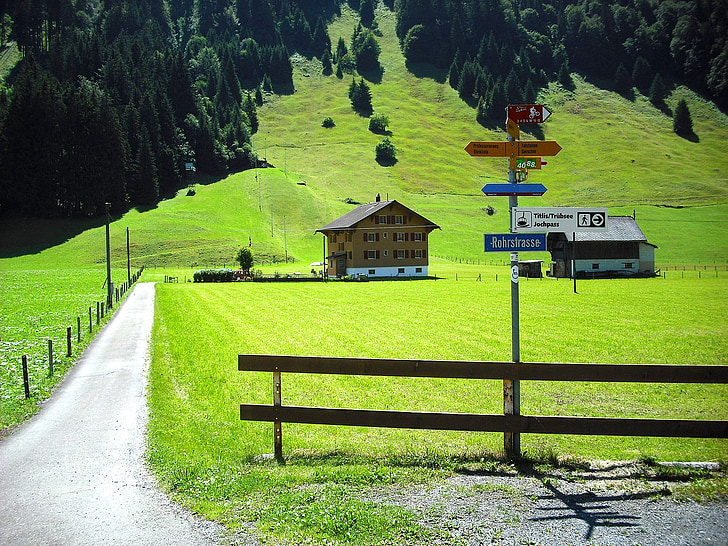 Engelberg, Sveits, naturskjønne, turisme, huset, grasmark, hus i fjell