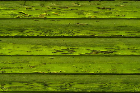 textura, dřevo, zeď, zelená, struktura, pozadí, texturu dřeva