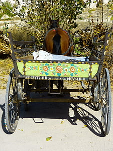 coach, horse drawn carriage, horse, wagon, dare, trailers, colorful