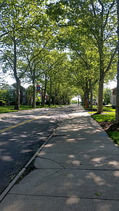 bomen omzoomde straat, trottoir, weg