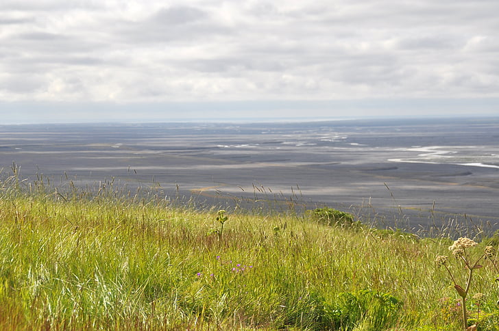 Islândia, paisagem, grama, Horizon, em silêncio, idílio, solitário