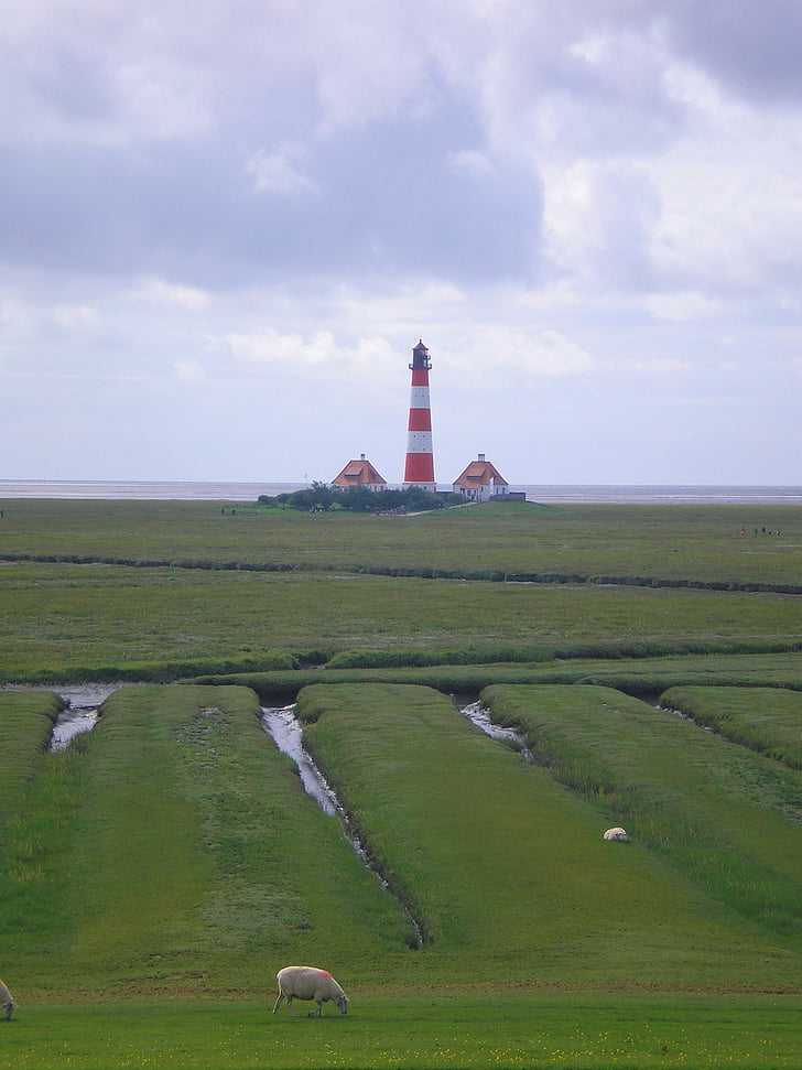 westerhever, lighthouse, north sea, wadden sea