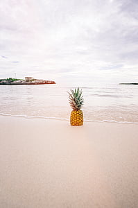 สับปะรด, ชายหาด, ทราย, ริมทะเล, เขตร้อน, ฤดูร้อน, วันหยุด
