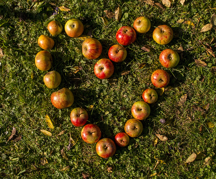 heart, apple, rush, fruit, love, eat, food