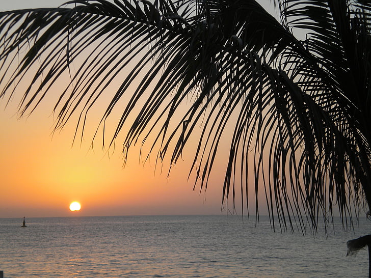 stranden, Mexico, solnedgång