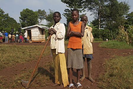 Afrika, Uganda, barn, hakke, landbruk, feltet
