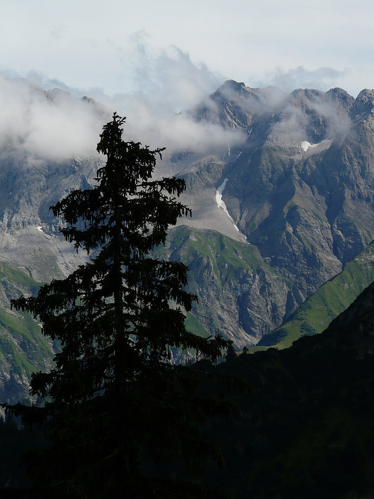 Panorama, Alpina, montanhas, montanha, árvore, abeto, alpenpanorma