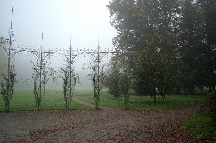 mgła, Park, Kromeriz, Natura