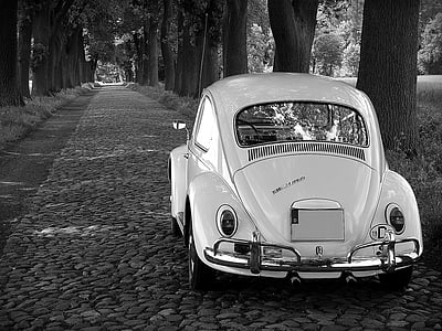VW, Bogár, Oldtimer, klasszikus, sziklák (macskakövek), régi, Herbie