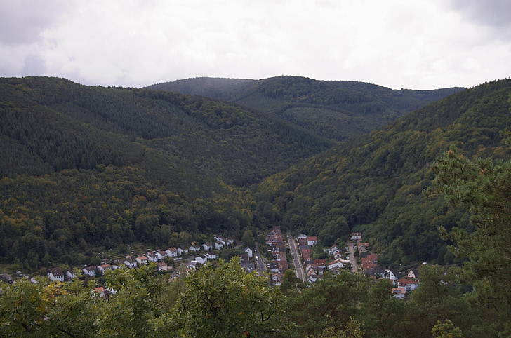 Prikaz, Pfalz šuma, selo, ljeto, kiša, više, putovanje