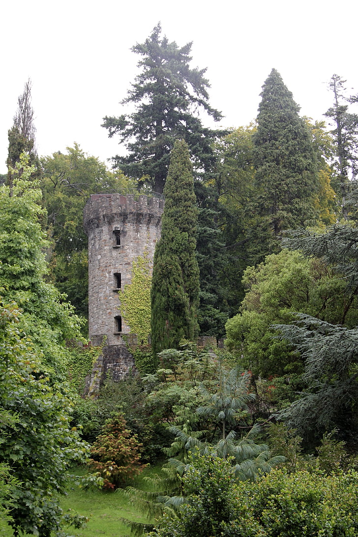 Powerscourt, Irland, Irländska, tornet, Fairytale, skogen, naturen