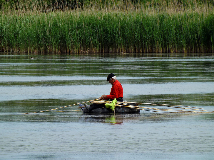 man, boat, lake, reflection, nature