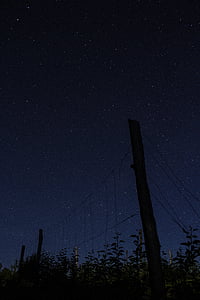 dark, fence, nightscape, silhouette, sky, stars, night