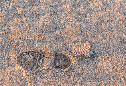 footprints, path, walker, beach, sand, costa, pilgrim