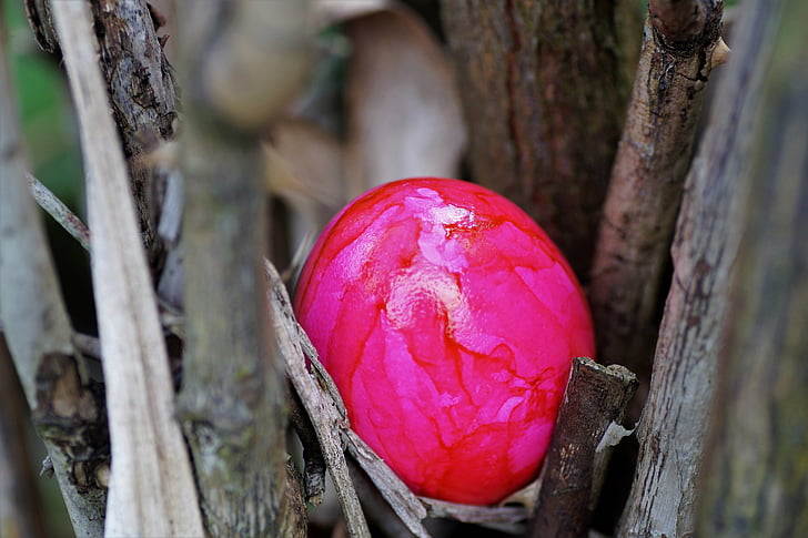 egg, easter eggs, easter, hidden, the tradition of, isolated, spring