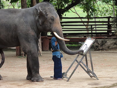 slon, Malování, Thajsko, Lampang, zvíře, savec