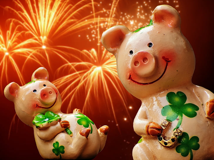 sėkmės, Paršelis, laimingas kiaulių, mielas, pasisekė žavesio, sėti, Naujųjų metų išvakarės