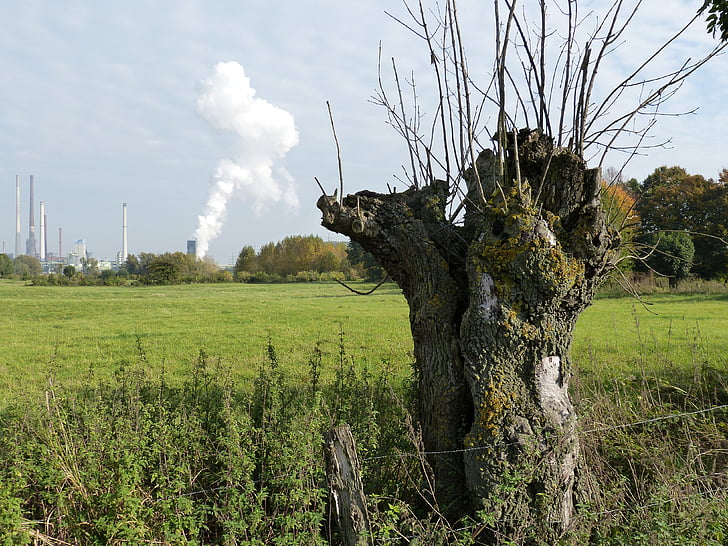 Niederrhein, Rajna, Rheinland, erőmű, iparág, füst, kipufogó-gázok