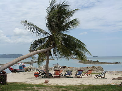 Thailand, Koh samui, ön, stranden, palmer, havet, Holiday