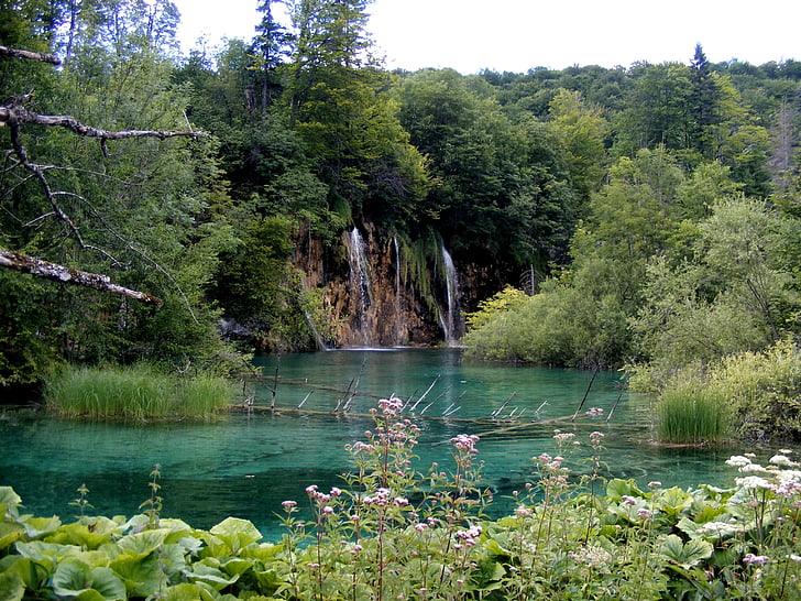 Lago, Plitvice, azul, plantas, árvores, verde, Croácia