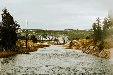 Yellowstone, Parco nazionale, Wyoming, paesaggio, fiume, diretta streaming, acqua