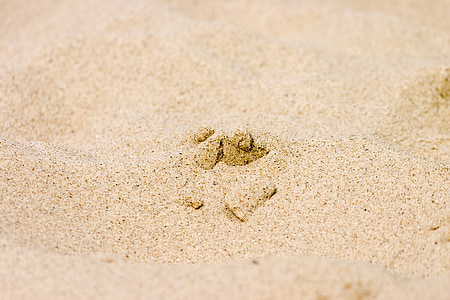 sable, plage, vacances, plage de sable, Sablière, quartz
