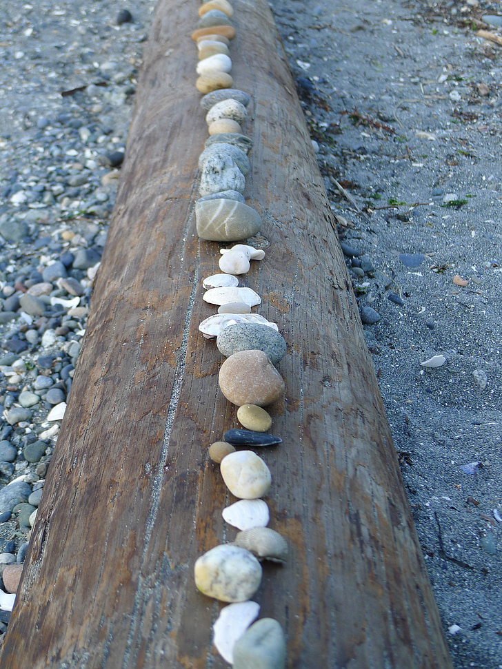 stones, rocks, log, beach, nature, landscape, outdoors