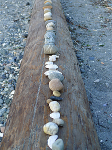 stones, rocks, log, beach, nature, landscape, outdoors