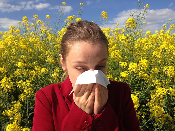 allergie, Medical, allergique, allergène, santé, médecine, pollen
