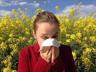 алергия, медицински, алергичен, алерген, здраве, медицина, цветен прашец