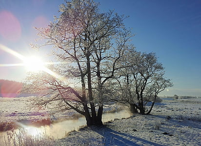 冬, 縁, 自然, ansager, 風景, 木材, 霜