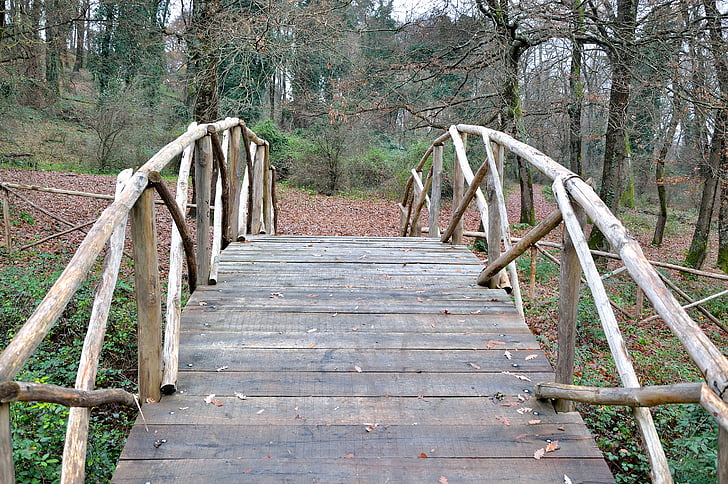 bridge, ponte di legno, forest, nature