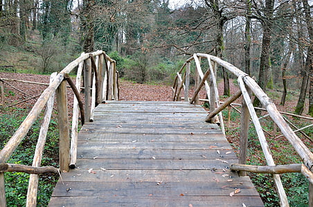 tiltas, Ponte di legno, miško, Gamta