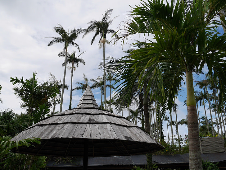 Botanischer Garten, Palm, Arbor, Komfort, Pause, Ländern des Südens, Okinawa