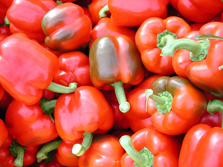 paprika, vegetabiliska, jordbruk, peppar, röd