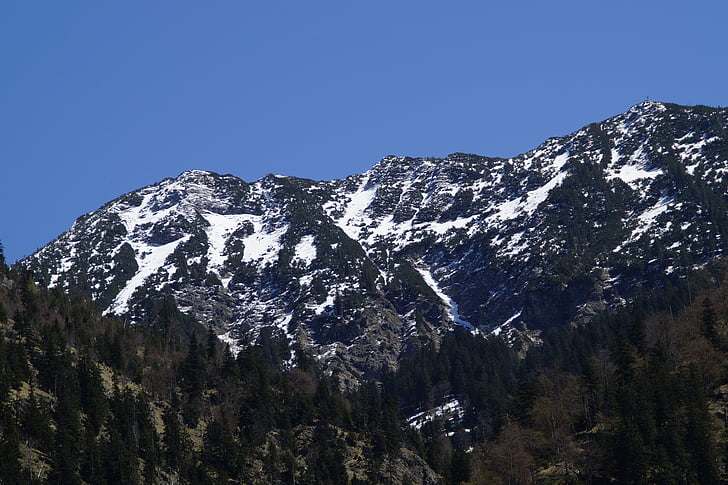 montagne, printemps, alpin, nature, reste de la neige, paysage