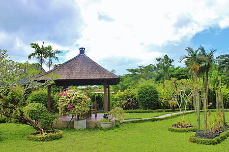 발리, 난초 정원, 플로 라, 열 대, 아일랜드, 인도네시아