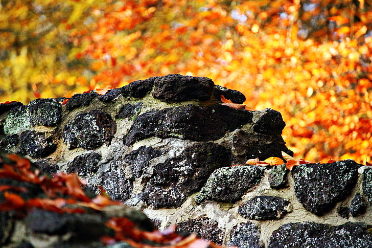 стена, камень, feilenmoos, Каменная стена, Осень, Осенью листва, глыба камень