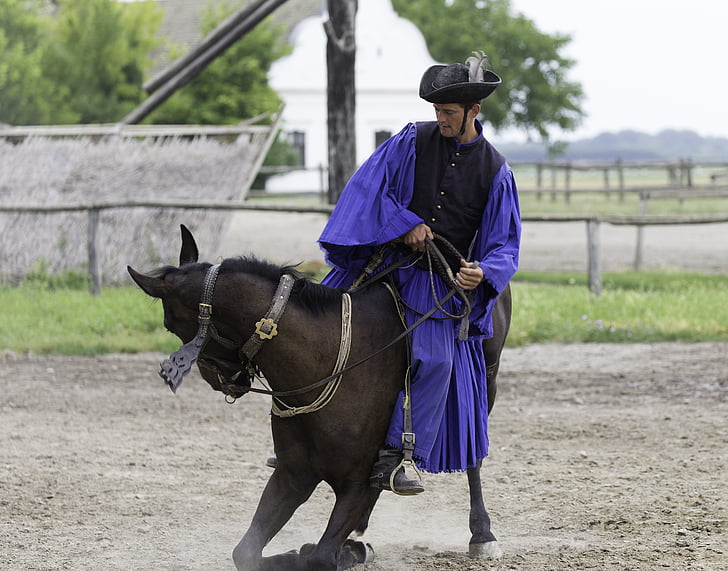 granja de cavalls de Puszta, Hongria, demostració eqüestre, cavaller tradicional, rodant a cavall, habilitat