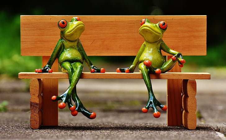 friends, sit, frogs, bank, bench, rest, break