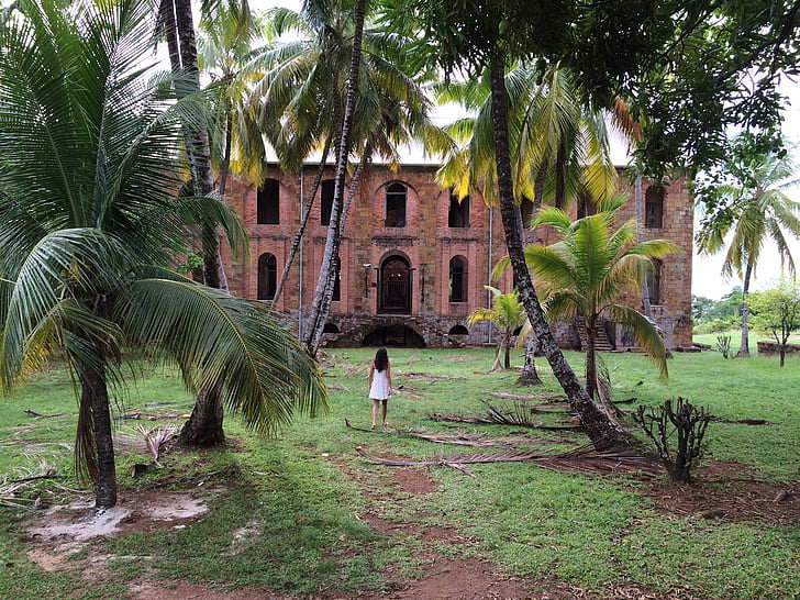 colonial, jungle, guyana, woman, has abandoned, building, red bricks
