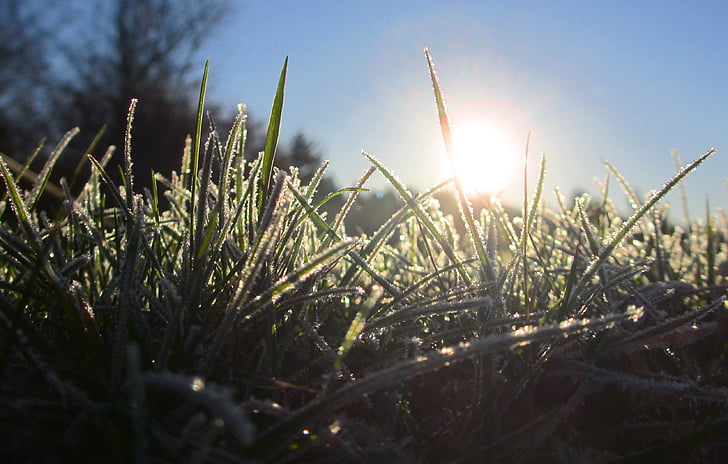 Napkelte, naplemente, fű, zöld, kék, Sky, jég