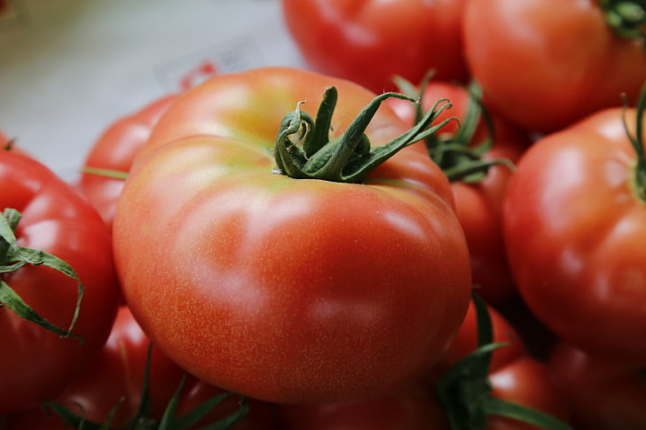 tomatid, köögiviljad, toidu, tomat, taimne, värskuse, punane