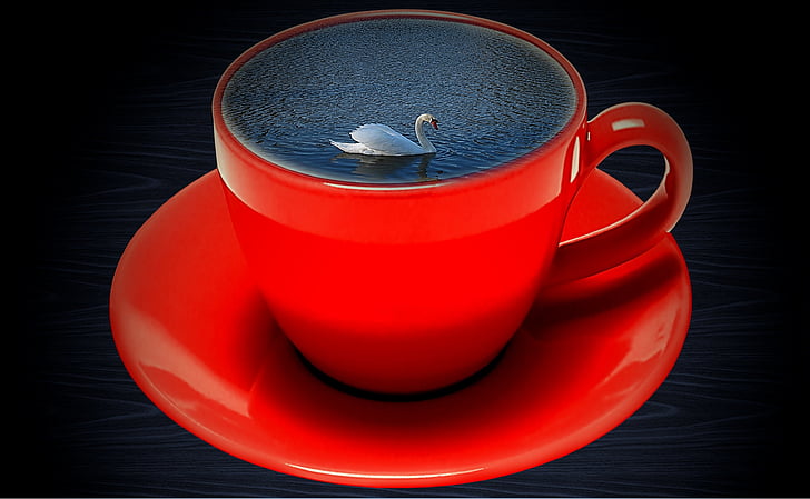 coffee cup, red, swan, water, wave, swim, drink