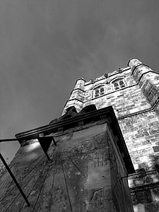 Wimborne minster, Minster, kyrkan, Dorset, gamla, arkitektur, anglikanska