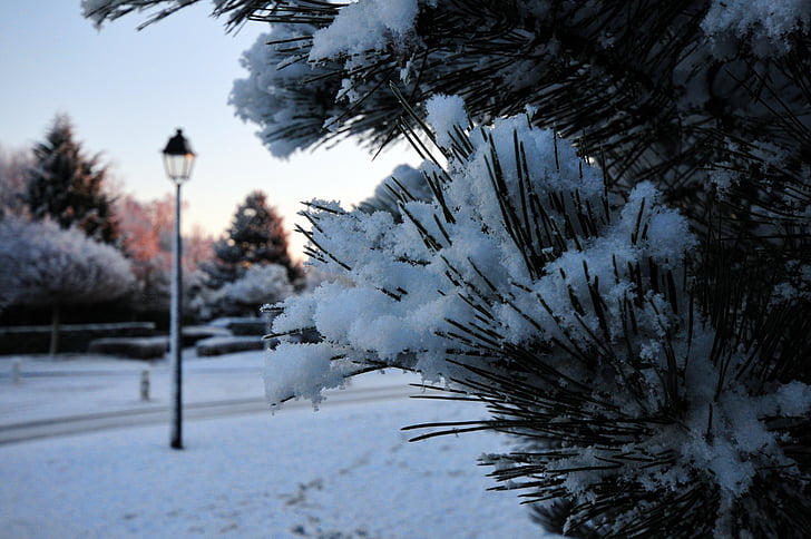 sníh, krajina, Aurora, ráno, reverberatory