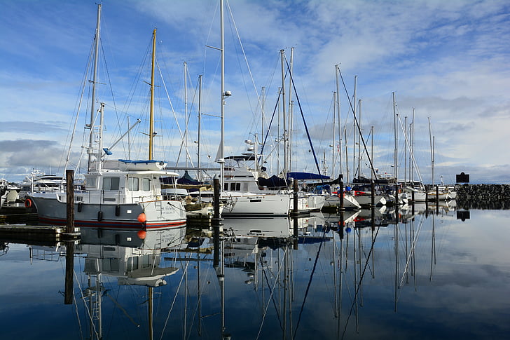 Marina, Oak, Bay, vatten, båtar, havet, segelbåt