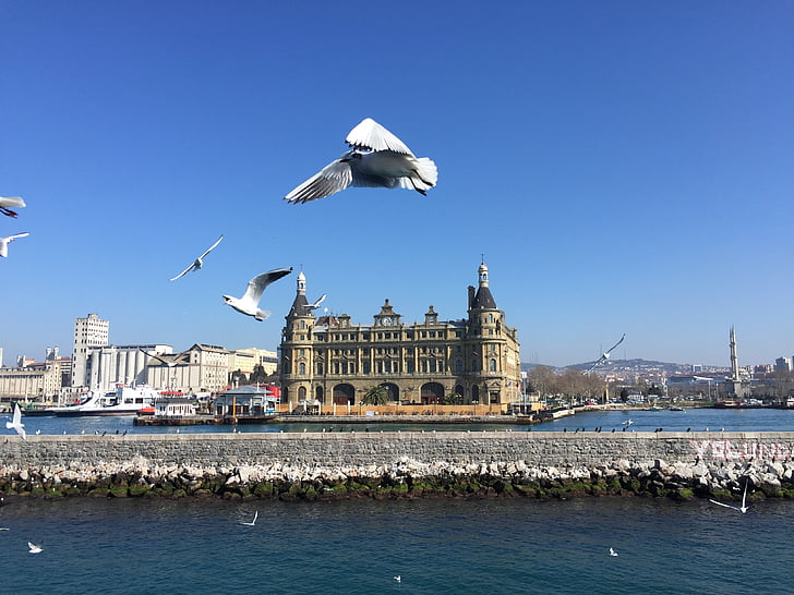 Istanbul, Stasiun, Seagull