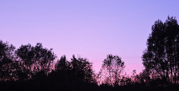Закат, небо, деревья, Горизонт, Сумерки